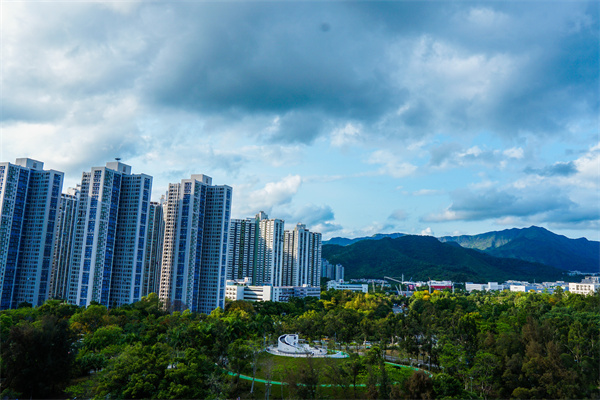特朗普拟罢免美联储主席鲍威尔引发市场动荡，黄金大涨1.3%至日高