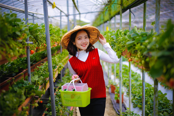 美国前财长姆努钦：强美元有助于美债融资